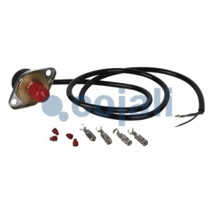 Oem Number: 1862895 Part Number: 6000414281C