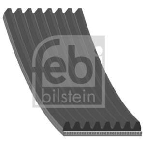 OEM Number: 977836 Part Number: 8PK1075F