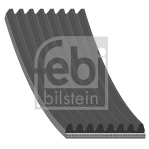 OEM Number: 299324965419972000 Part Number: 8PK1215F