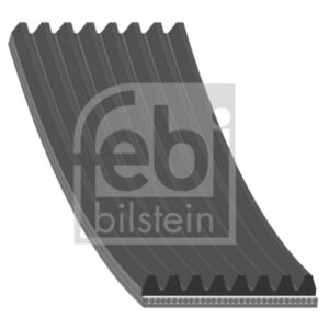 OEM Number: 2041253521190810 Part Number: 8PK1365F