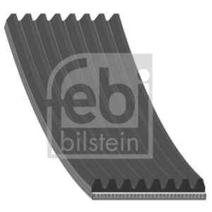 OEM Number: 504090403 9069938996 1800533 1389059 1514865 1888465 Part Number: 8PK1795F