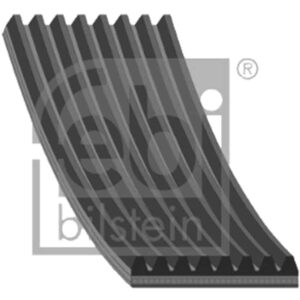 OEM No: 9069932596 Part No: 8PK2498F