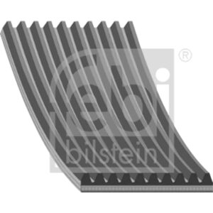 part no: 10PK2495F OEM: 2447572