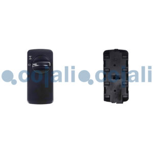 Part Number: 2406168199C OEM Number: 9435450304