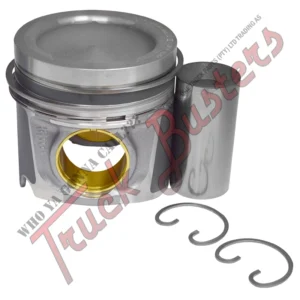 OEM No: 4600300017 Part No: 2070273003KS