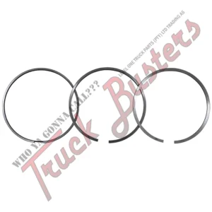 OEM no: 4710300424 Part no: 2070273004KS