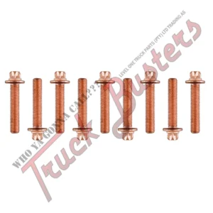 Part Number:3000516002 OEM Number: 51904900029