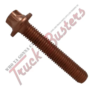 OEM Number: 51904900030 Part Number: 3000516060