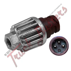 Part Number: 3004221002 OEM Number: 81255200184