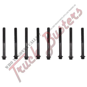 OEM Number: 51900200381 Part Number: 3010117002EL