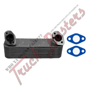 Part Number: 3020241002BF OEM Number: 51056010148