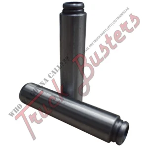 OEM No: 1925597 Part No: 6000116002