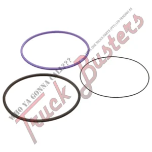 OEM Number: 20520670 20520607 22179684 Part Number: 7060274001EL