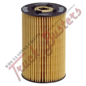 OEM Number: 0001800909 0011844125 0011844425 0011845125 0011845425 0236481 211340 236481 3141800109 3641800009 3641800109 3641800110 3641800309 3661840225 3661841125 3661841225 3741800009 001229988 0024151104 0122998800 024151104 1229988 20122998800 24151104 5001846627 51055040097 6750492156 Part Number: E134HD06
