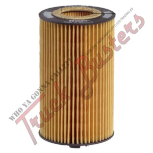 OEM Number: 9041800210 9061840225 9061800109 11708550 5021107434 9041800009 906180010910 0001801609 000180160964 6861800009 6861840025 Part Number: E160H01D28