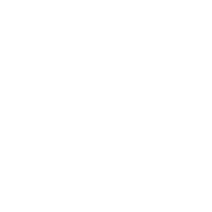 Merchandise